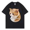 Brain Not Braining Funny Cat Meme T Shirt High Quality Fashion Oversized TShirts Unisex Unisex Casual Cotton Short Sleeve TShirt