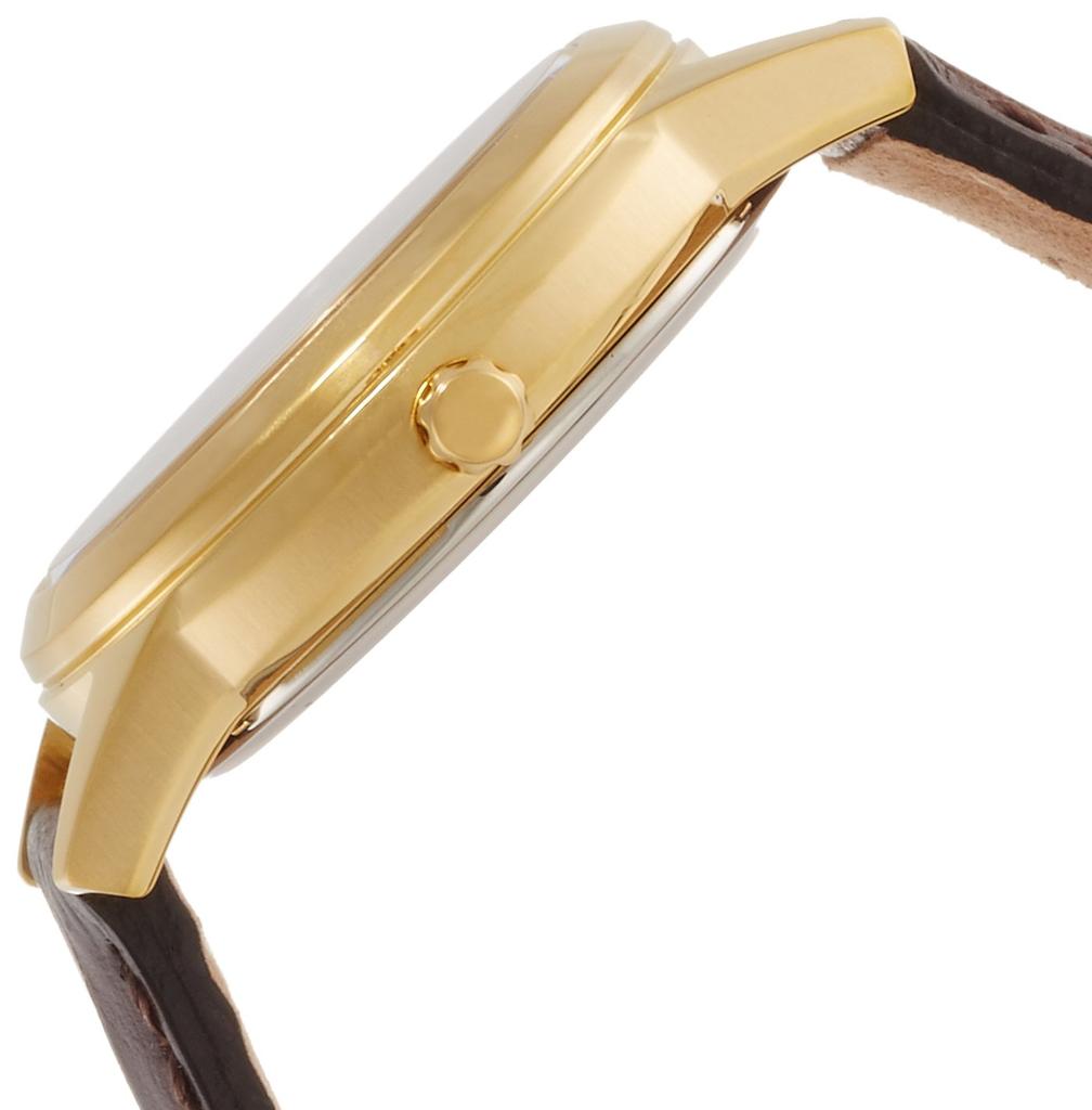 Citizen Collection Flexible Solar Pair Model Brown Eco-Drive Watch, FE1082-21L,