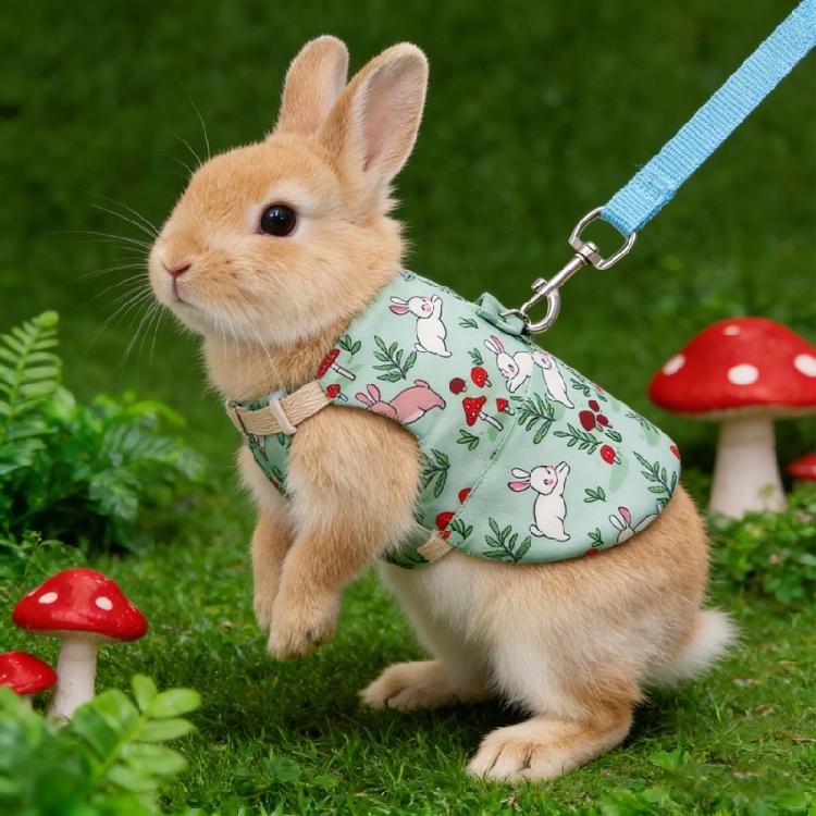Fashion Rabbit Print Pet Harnesses With Detachable Leashes Soft Cotton Suitable for Small Animals