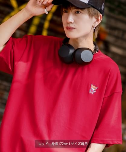 IMPROMES Casual SIDEWAYSTANCE Embroidered Downer Fox Short Sleeve T-Shirt, Men's, Ash