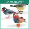Bird Animal Static Model Toy With Plastic Material For Kids Gift Room Decoration