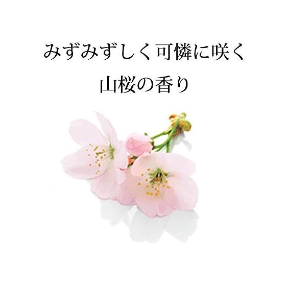Ichikami hair & scalp moisturizing Japanese herbal shower refill 375mL