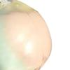 Soft Rainbow Crispy Balls Stress Relief Gradient Colors Squeeze Sensory Fidget Ball Shapeable Non-rebound