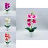 Artificial Phalaenopsis Aphrodite Plant With Silk Flowers For Home Decor And Gift Idea
