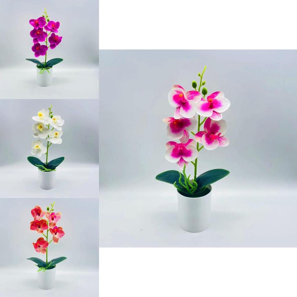 Artificial Phalaenopsis Aphrodite Plant With Silk Flowers For Home Decor And Gift Idea