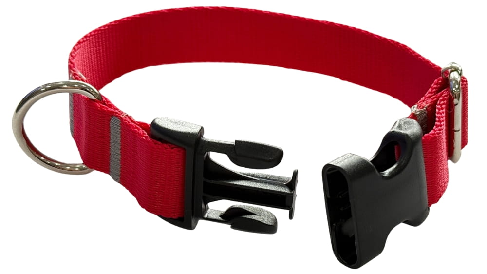 Dog Collar 2 cm with Buckle Adjustable Red Fasten Dog Collar 2 cm with Buckle Adjustable Red Fasten L: 40-55cm