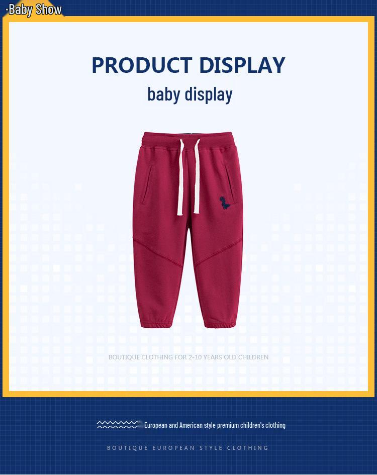 2024 Children's Dinosaur Sports Pants - Boys' Autumn Trousers