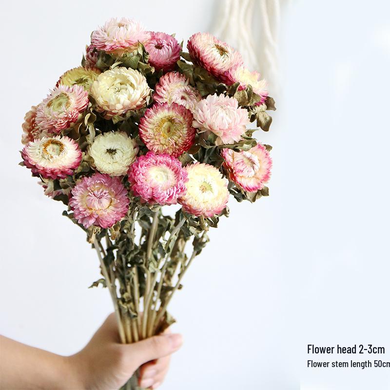 Daisy Dried Flower Bouquet for Living Room and Bedroom Décor - Natural Yunnan Flowers for Display or Photo Props