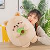 Holding Avocado Doll Cat Hamster Doll Children'S Birthday Gift Girl Girlfriend Plush Toy
