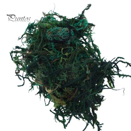 

1 сумка, имитация мха, яркий реалистичный кукольный домик, искусственный мох, зеленые растения для миниатюрных сцен, проекты «сделай сам» темно-зеленого