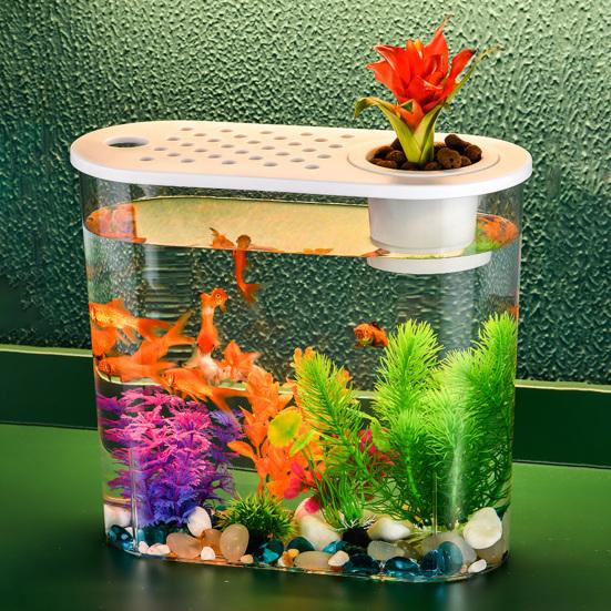 Elegante ciotola per pesci da tavolo con fori e coperchio, coltura idroponica, perfetta per la casa o l'ufficio.
