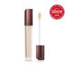 Vanish Airbrush Concealer