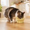 Large Diameter Neck Protection Bowl Anti-knock Pet Food Bowl Elevated Cat Bowl  for Pets Cats Dogs
