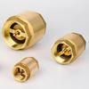 Naixin Brass Vertical Spring Check Valve
