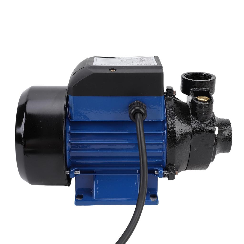 Bewässerungspumpe 230W 1,5m³/H Durchfluss 1 Zoll Auslass Leise 3200 U/min 25m Förderhöhe für Landwirtschaft
