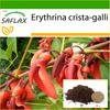 Cockspur Coral Tree - 6 Seeds - With Potting Substrate for Better Cultivation - Erythrina Crista Galli