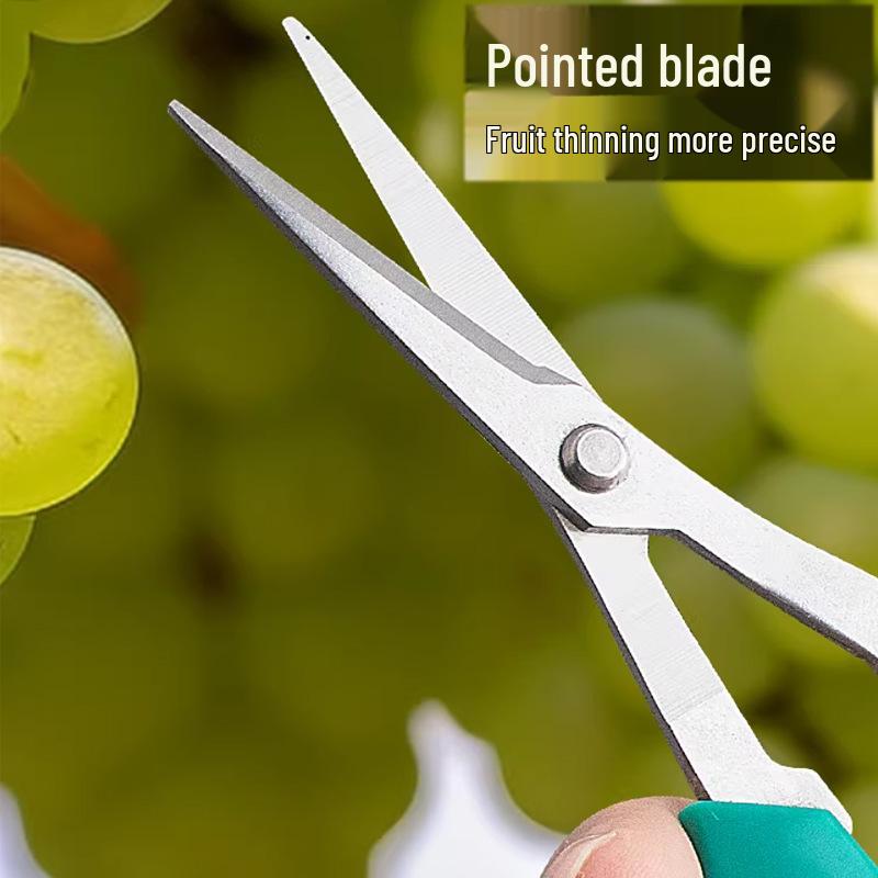 Stainless Steel Sharp Fruit & Berry Shears for Plants & Vegetables