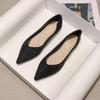 2024 Autumn Women's Fashion Mary Jane Flat Shoes - Versatile Pointed Toe for Skirts, Gentle Style