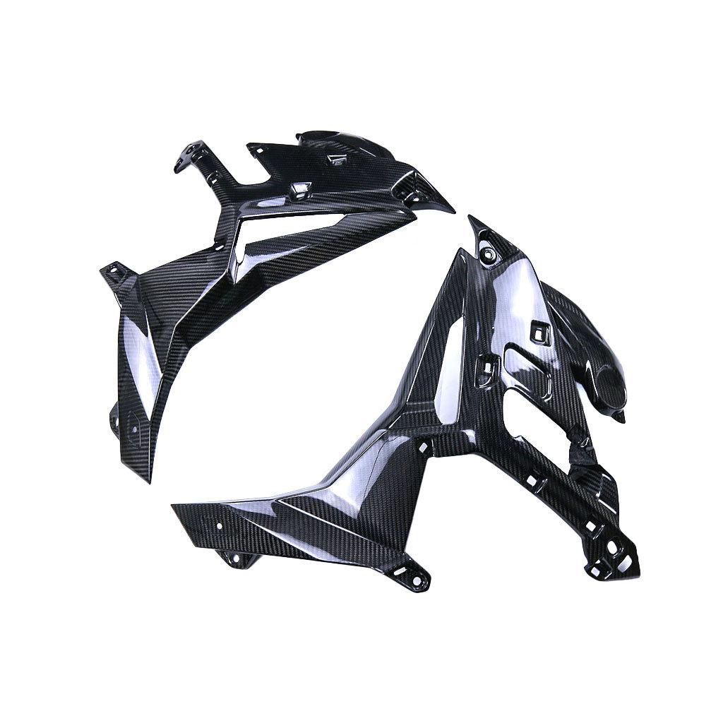 BMW S1000R M1000R Thunder Edition Carbon Fiber Side Panel Liners