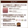 excel Auratic Blush AB09 Passion Tea Cheek Gradient