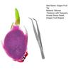Dragon Fruit Stress Relief Toy with Tweezers Double Layers Fruit Seeds Removal Toy Blackhead Pimples Popping Decompression Sensory Toy