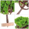 NOLITOY Miniature Tree Models - Street Trees, Landscape Trees, Diorama Trees, Garden Trees, Sand Table, Home Decoration, Miniature Garden Ornament -