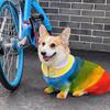 12 Pezzi Bastoncino Colorante per Pelo di Animale Cane Vernice Colorante per Pelo Pennarelli Temporanei Colore Capelli Sicuro Stick per Styling Accessori per Animali