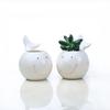 European-Style Marine Series Succulent Ceramic Flower Pots, Home Gardening Creative Hand-Painted Flower Pots, Potted Plants