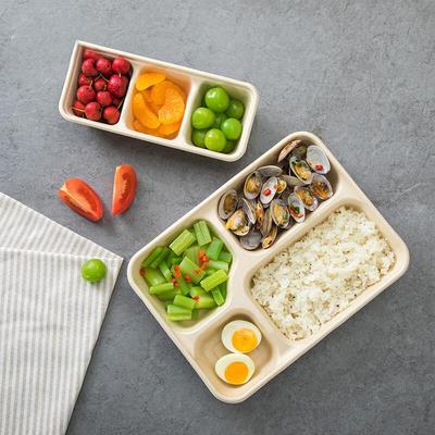 Disposable 4-Compartment Pulp Food Containers with PP Lids