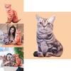 Tom Cat 3d Plush Tiger Striped Cat Pillow With Soft Pp Cotton For Kids Bedroom Decor