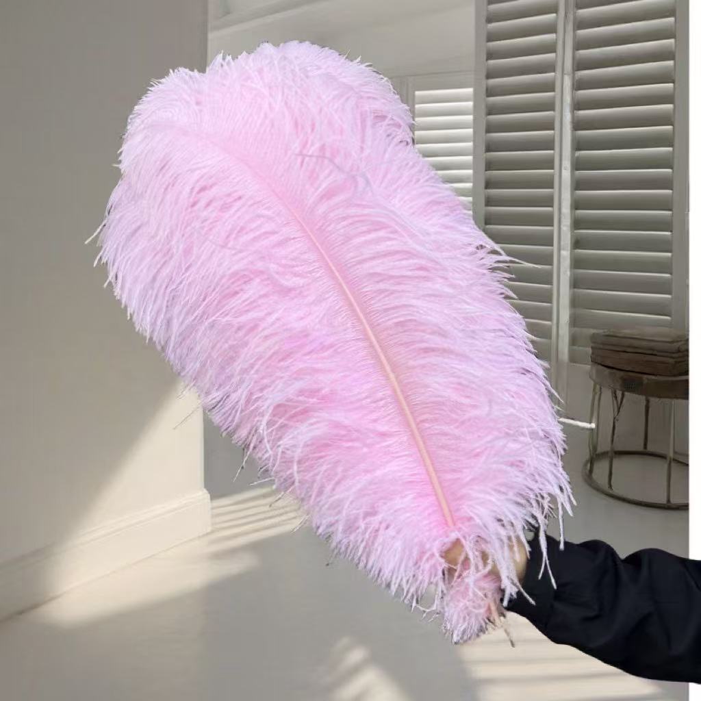 1pcs Ostrich Hair 65-70Cm Photo Feather Wall Wedding Road Guide Decorative Props Colored Feathers