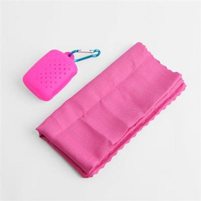 Cooler Portable Sports Towel (Pink)/Sports Handkerchief Cool Towel