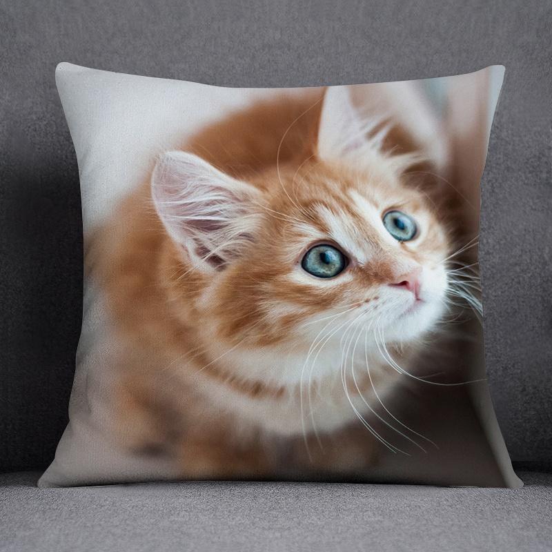 Cat Series Pattern Decorative Pillowcase, Square Home Office Decoration (45Cm * 45Cm)