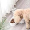 WTEMPO CSmall and Medium-sized Dog Food Bowl Cat Bowl Pet Supplies Double Bowl Pet Cat Feeder Automatic Drinking Double Bowl