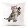 The cute cats from Northern Europe Digital printing short plush pillow covers for car sofa office cushion cover home goods