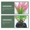 12 Pcs Plant Aquarium Landscaping Wear Resistant Freshwater Vivid Decor Decorative Faux Plants Plastic Desktop Fish Tank