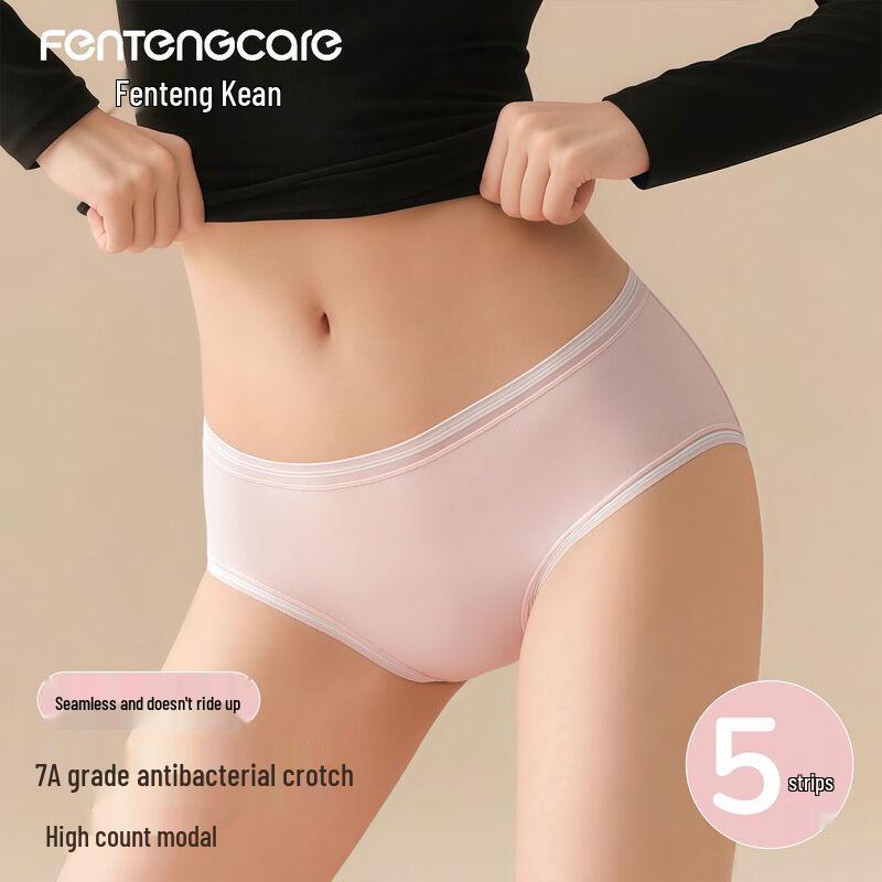 

FENTENGCARE Women s Modal Ice Silk Seamless Briefs 5-Pack L