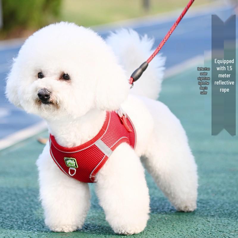 Breathable Reflective Pet Harness Vest with Leash for Cats & Dogs