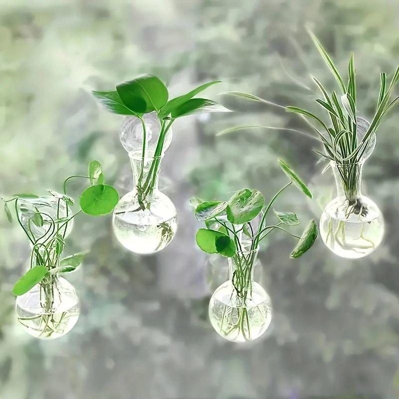 Wall-Mounted Hydroponic Glass Vase for Indoor Pothos and Money Plants, Transparent Decorative Planter for Home Windows