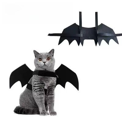 Chats – Tenues pour chats