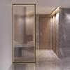 Modern Glass Screen: Laminated Glass with Wire Mesh and Illuminated Stainless Steel for Entrance or Hallway