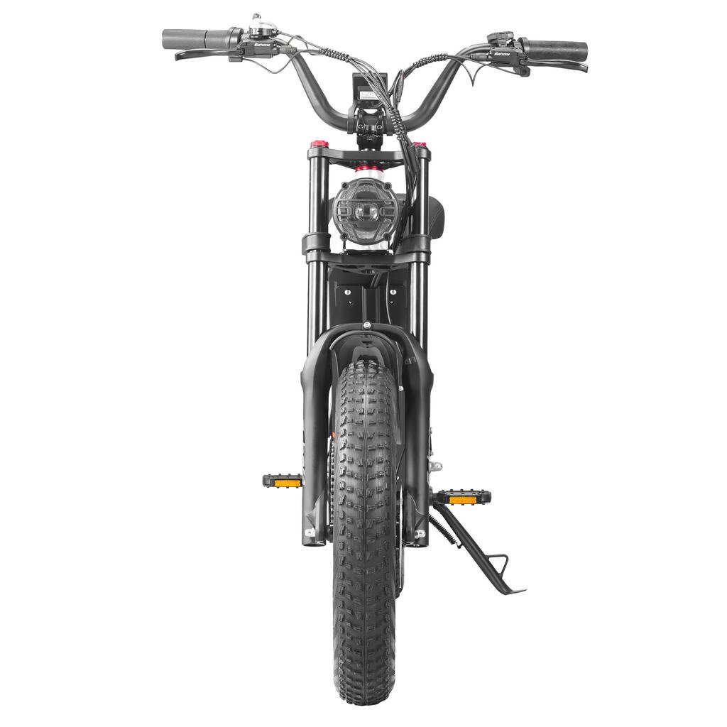 Juliet II Černá/Bílá 1500W Výkon motoru 52V60AH Baterie 20 * 4,0-palcová Pneumatika Ximano 7-rychlostní Barva Přístroj Hydraulická Brzda Elektrické Kolo