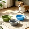 Köpek – Köpek Besleme ve Sulama Malzemeleri