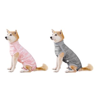 Köpek – Köpek bakım ürünleri