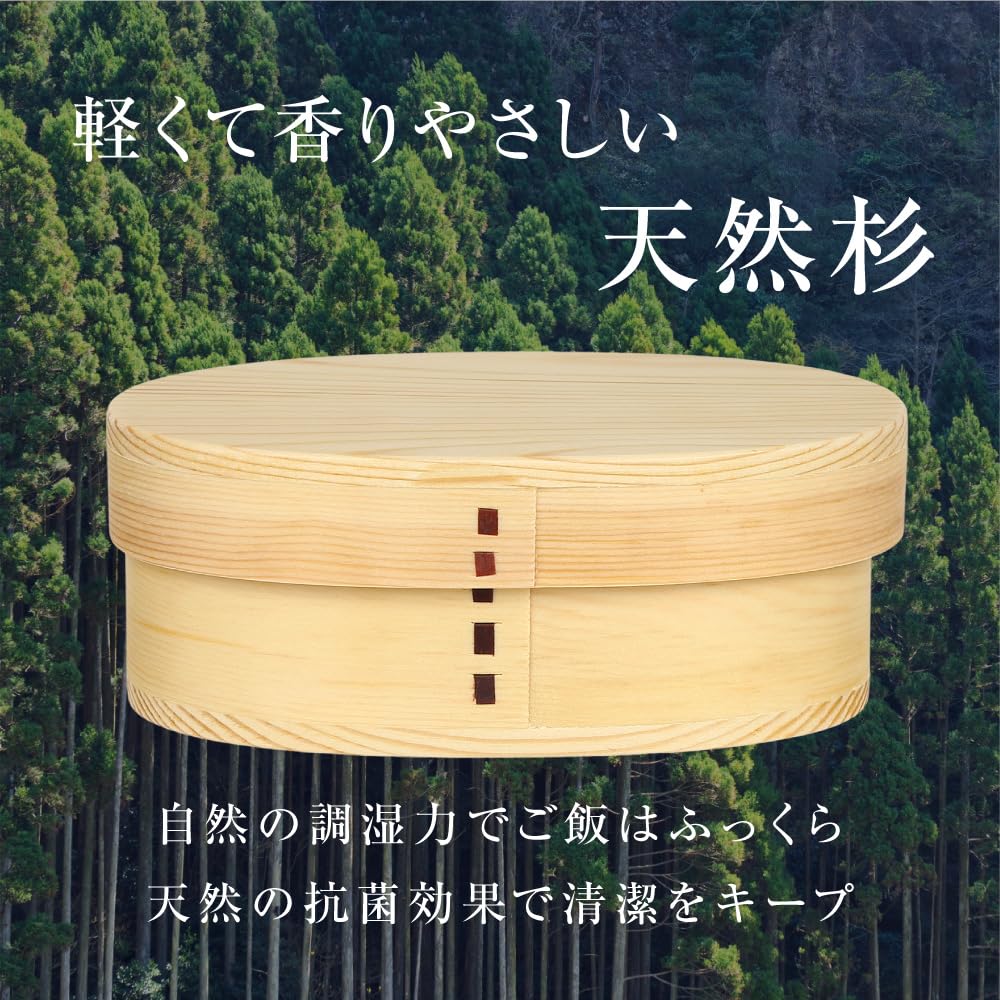 Gokusho Magewappa Lunch Small Made in Natural Single Tier Box, (500ml), Japan, Cedar, Round,