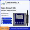 Bochu E2310 Online pH Meter for Water Quality Analysis