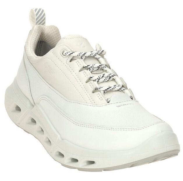 Кроссовки Ecco Biom 720