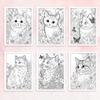 1 szt., Kolorowanka dla kota, Kolorowanka dla nastolatków, 30 różnych wzorów, Gruby papier 100 gsm, Redukcja stresu, Prezent urodzinowy