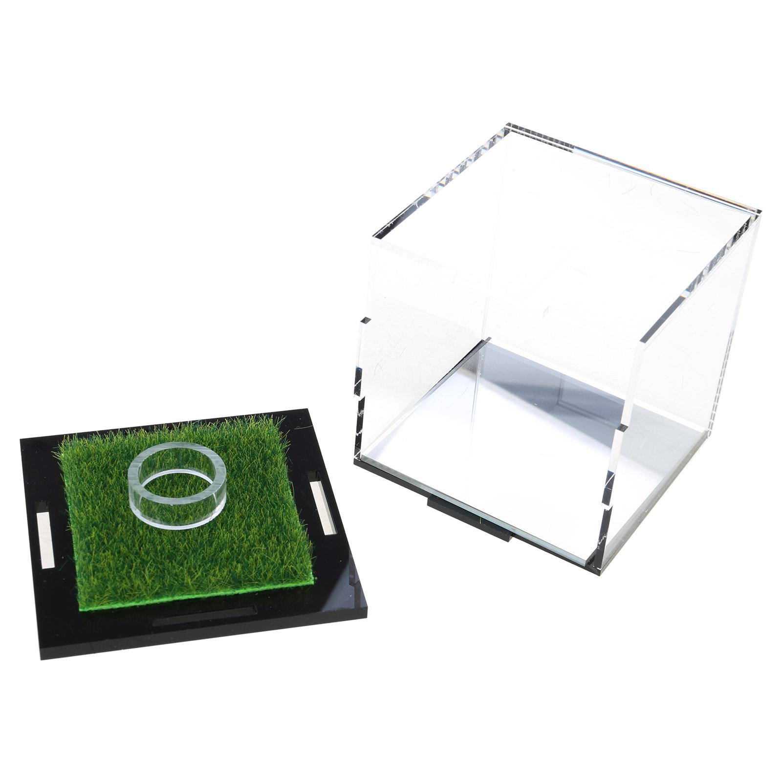 

Golf Ball Display Case Acrylic Square Baseball Holder Square Display Stand Baseball Holder Display Box Easy to Use