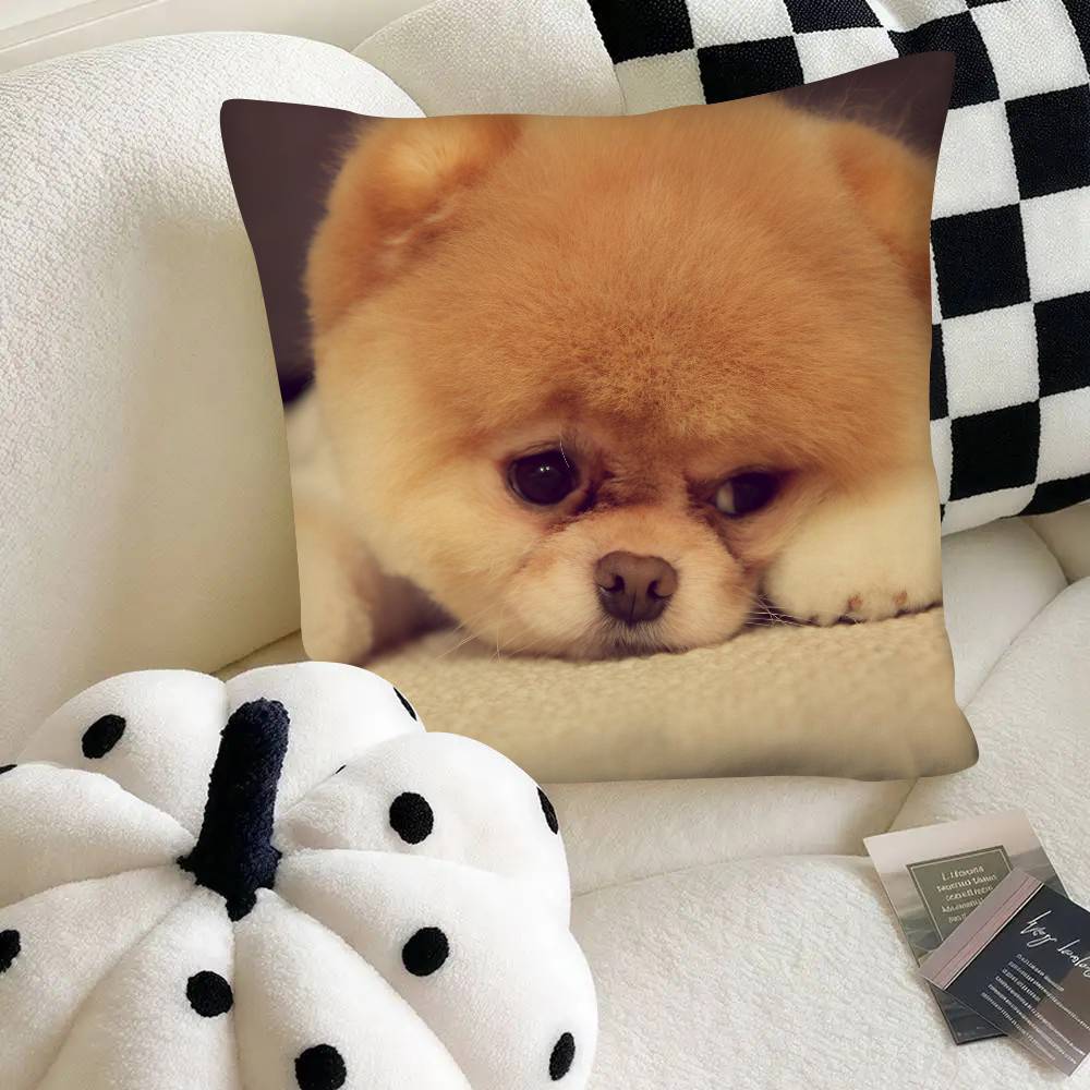 Poszewka na poduszkę dla psa rasy szpic miniaturowy Modna kwadratowa poszewka na poduszkę Sypialnia Sofa Pokój Dekoracja Ins Wypoczynek